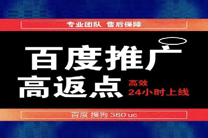 成功SEM推广代运营案例分享